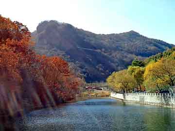 揭秘管家一肖一碼，百分之百準(zhǔn)確預(yù)測(cè)的秘密與免費(fèi)體驗(yàn)攻略，揭秘百分百準(zhǔn)確預(yù)測(cè)管家一肖一碼的秘密與免費(fèi)體驗(yàn)指南