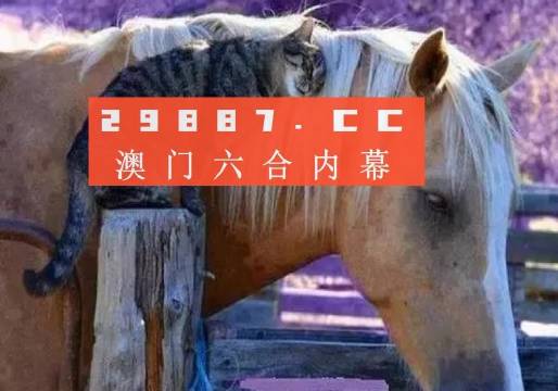 澳門(mén)一肖一碼一待一中四不像，探索與解析，澳門(mén)一肖一碼一待一中四不像，深度解析與探索