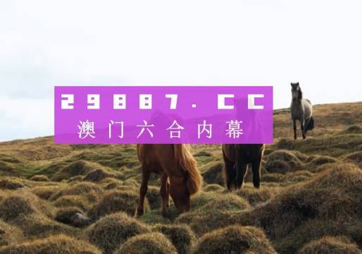 澳門今晚開(kāi)獎(jiǎng)什么，揭秘彩票背后的秘密與策略分析，澳門彩票開(kāi)獎(jiǎng)揭秘，策略分析與秘密探索
