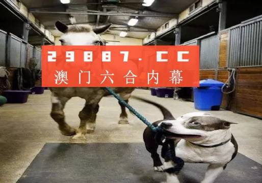 澳門一肖一碼一必中一肖，同舟前進(jìn)的奧秘與策略，澳門一肖一碼必中策略與前進(jìn)奧秘，同舟共濟(jì)的揭秘與策略
