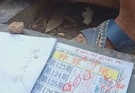 香港中特期期準資料