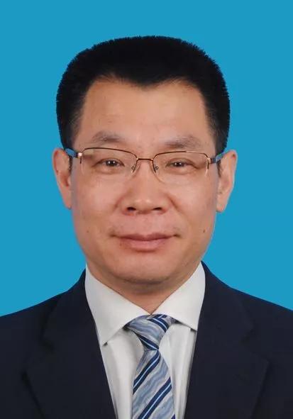2024新奧正版資料免費(fèi)獲取指南，2024新奧正版資料免費(fèi)獲取攻略