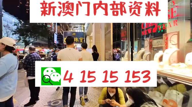 探索未來，2025新澳最新版精準(zhǔn)特色解析，探索未來，揭秘新澳最新版精準(zhǔn)特色解析（2025版）