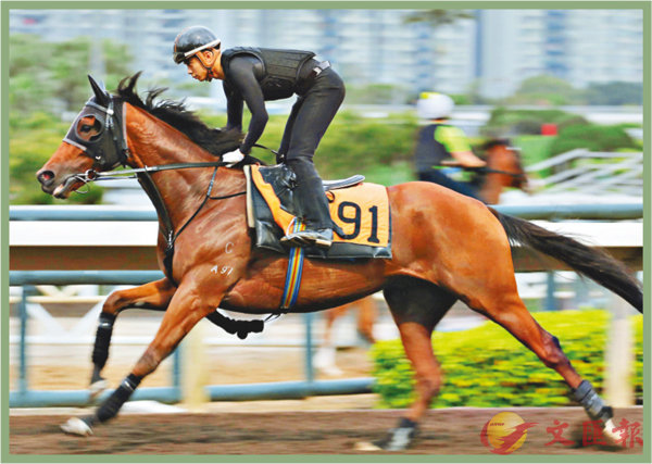 香港賽馬，探索數(shù)字背后的激情與榮耀，香港賽馬，數(shù)字背后的激情與榮耀之旅
