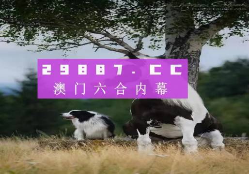 澳門天天空彩官網(wǎng)資料，探索彩票世界的門戶，澳門天天空彩官網(wǎng)資料，彩票世界探索門戶