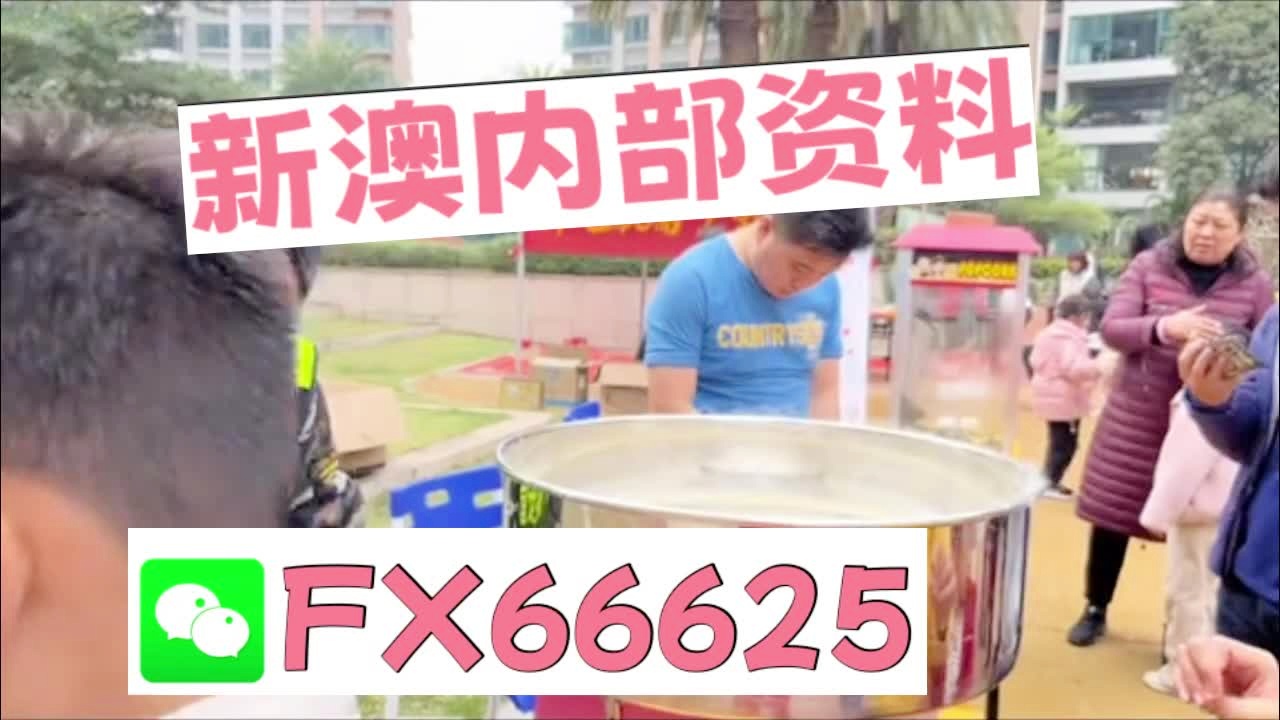 2025新澳天天開彩最新資料大全——全方位解析與預(yù)測，2025新澳天天開彩最新資料大全——全面解析與精準預(yù)測