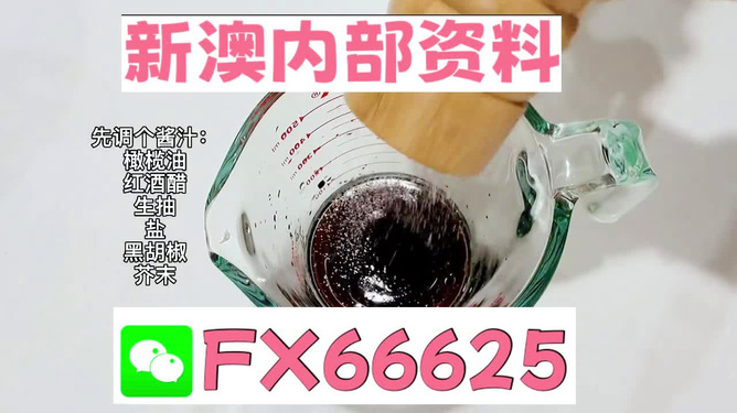 2025年新澳正版免費料，全面解析與獨家資訊，獨家解析，揭秘新澳正版免費料獨家資訊至2025年