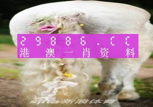 澳門羊了個羊與各大圖庫的資料揭秘，2023年澳門今晚必中一肖一碼永久免費資料庫大解密，澳門羊了個羊與資料庫揭秘，2023年必中一肖一碼永久免費資料大解密