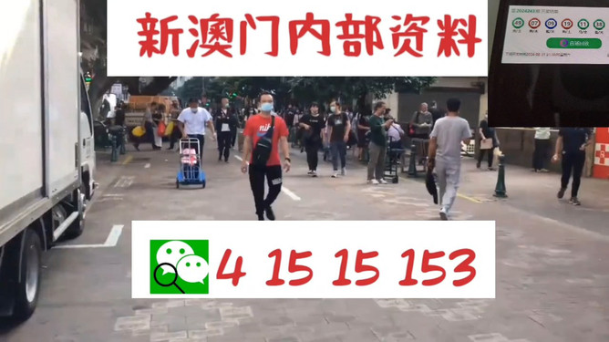 澳門管家婆，揭秘一種獨(dú)特的文化現(xiàn)象與娛樂體驗(yàn)，澳門管家婆，文化現(xiàn)象與娛樂體驗(yàn)的揭秘