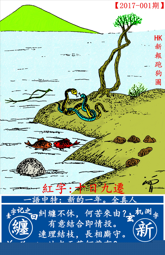 探索全新版跑狗圖，7777788888的魅力與策略，探索全新版跑狗圖，7777788888的魅力與攻略解析