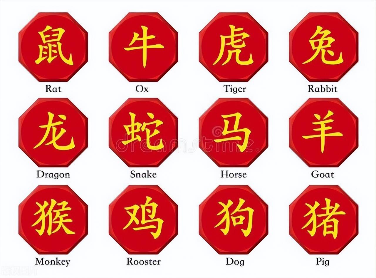 新澳特碼，羊?；⒏鲾?0——揭秘背后的數字奧秘，揭秘新澳特碼數字奧秘，羊?；⒏鲾当澈蟮拿孛? class=