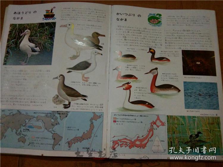 今日正版跑狗圖分享，探索7777788888跑狗圖的魅力，今日正版跑狗圖分享，探索魅力十足的777778跑狗圖