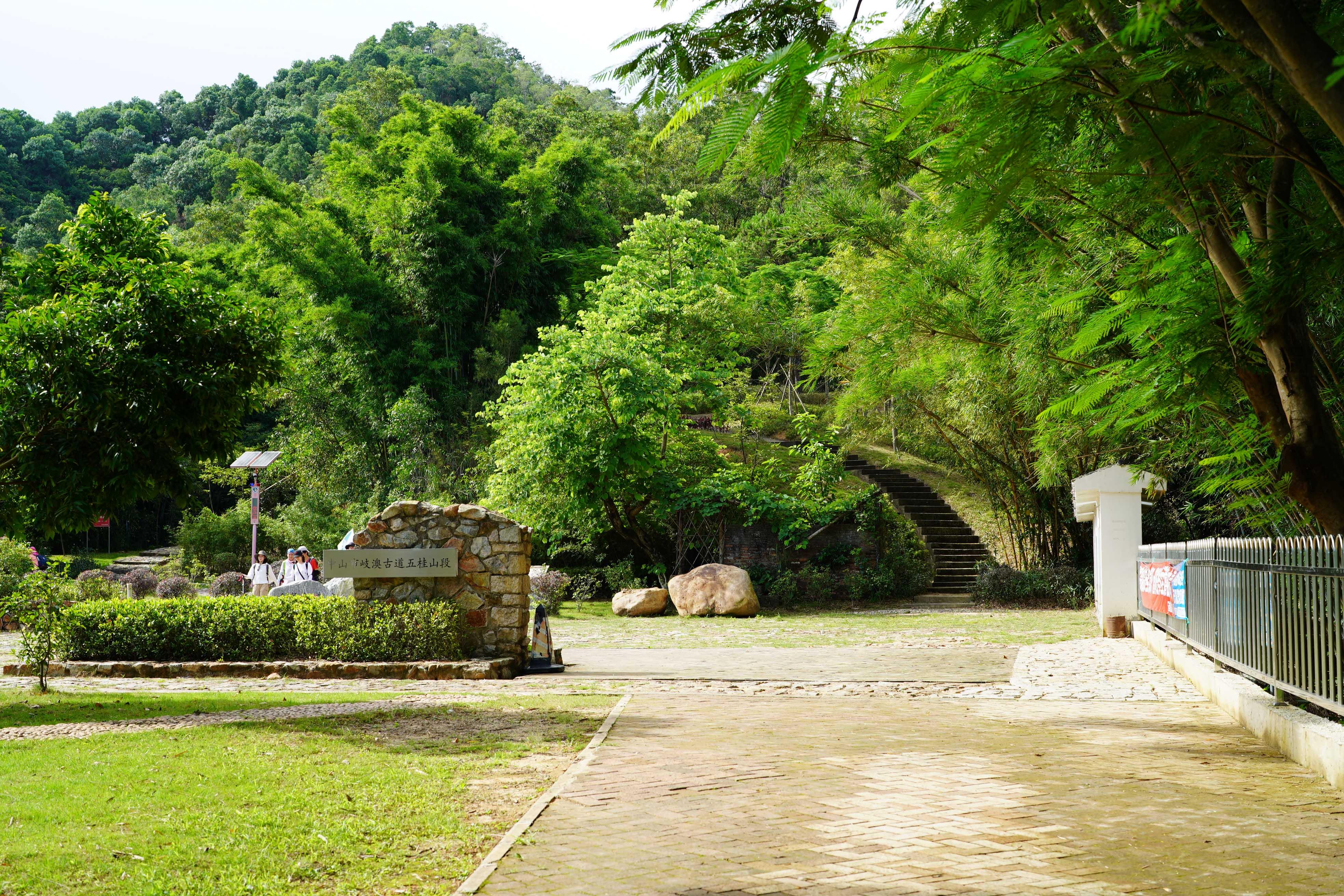 新澳門彩生肖走勢圖，探索與解讀彩票背后的秘密，探索解讀新澳門彩生肖走勢圖，彩票背后的秘密揭秘