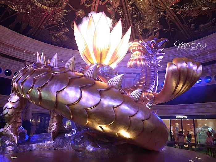 澳門無錯(cuò)七尾，探索與解析，澳門無錯(cuò)七尾，深度探索與解析