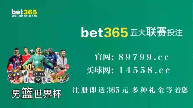 王中王中特馬王中王精準(zhǔn)資料解析與SEO優(yōu)化策略探討，王中王中特馬精準(zhǔn)資料解析與SEO策略探討