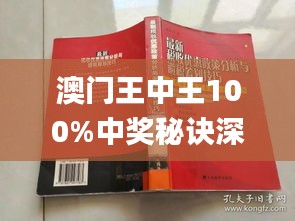 新澳門王中王期期中，探索與解析，新澳門王中王期期中，深度探索與解析