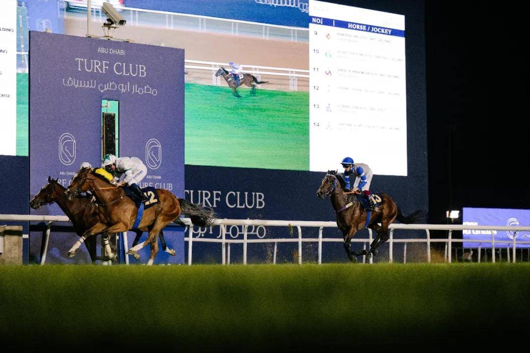 澳門特馬今晚開獎一，探索彩票背后的秘密與期待，澳門特馬今晚開獎，揭秘彩票背后的秘密與期待大獎的激動心情