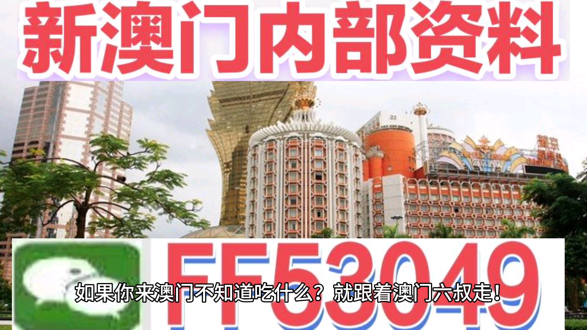 澳門今晚特馬生肖預測，探尋未來的幸運符號（2025年），澳門生肖預測揭秘，探尋未來幸運符號（特馬生肖預測 2025年展望）