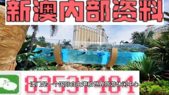 新澳的資料去哪里找——全面指南，新澳資料全攻略，尋找資料的途徑與指南