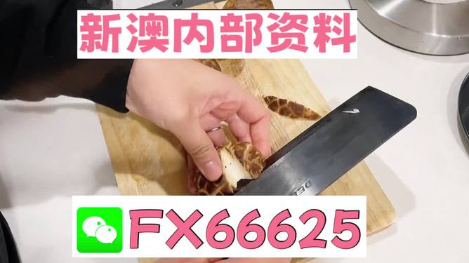 澳門九點半9點半網(wǎng)站——探索其魅力與優(yōu)勢，澳門九點半網(wǎng)站，魅力與優(yōu)勢探索