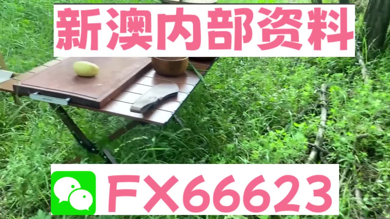 新奧特碼走勢圖解析與預測，新奧特碼走勢圖解析與預測，未來趨勢探討
