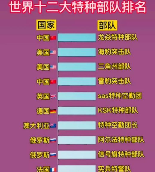 中國(guó)十大王牌特種部隊(duì)，實(shí)力與榮耀的象征，中國(guó)十大王牌特種部隊(duì)，實(shí)力與榮耀的巔峰標(biāo)志