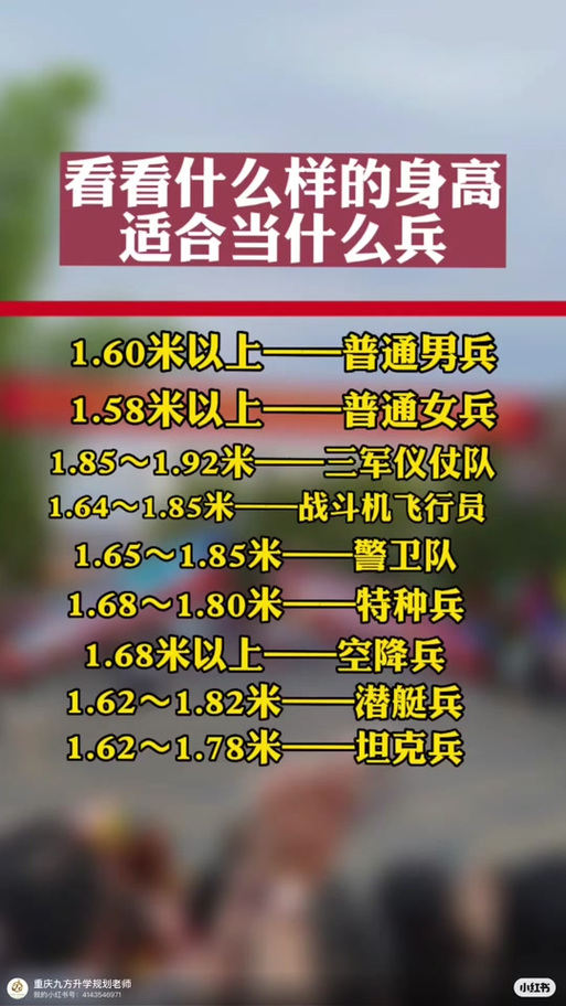 儀仗兵身高標(biāo)準(zhǔn)，探究與解析，儀仗兵身高標(biāo)準(zhǔn)，探究與詳解
