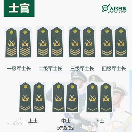 全球各國軍士長軍銜對照表及其重要性，全球各國軍士長軍銜對照表，揭示其重要性