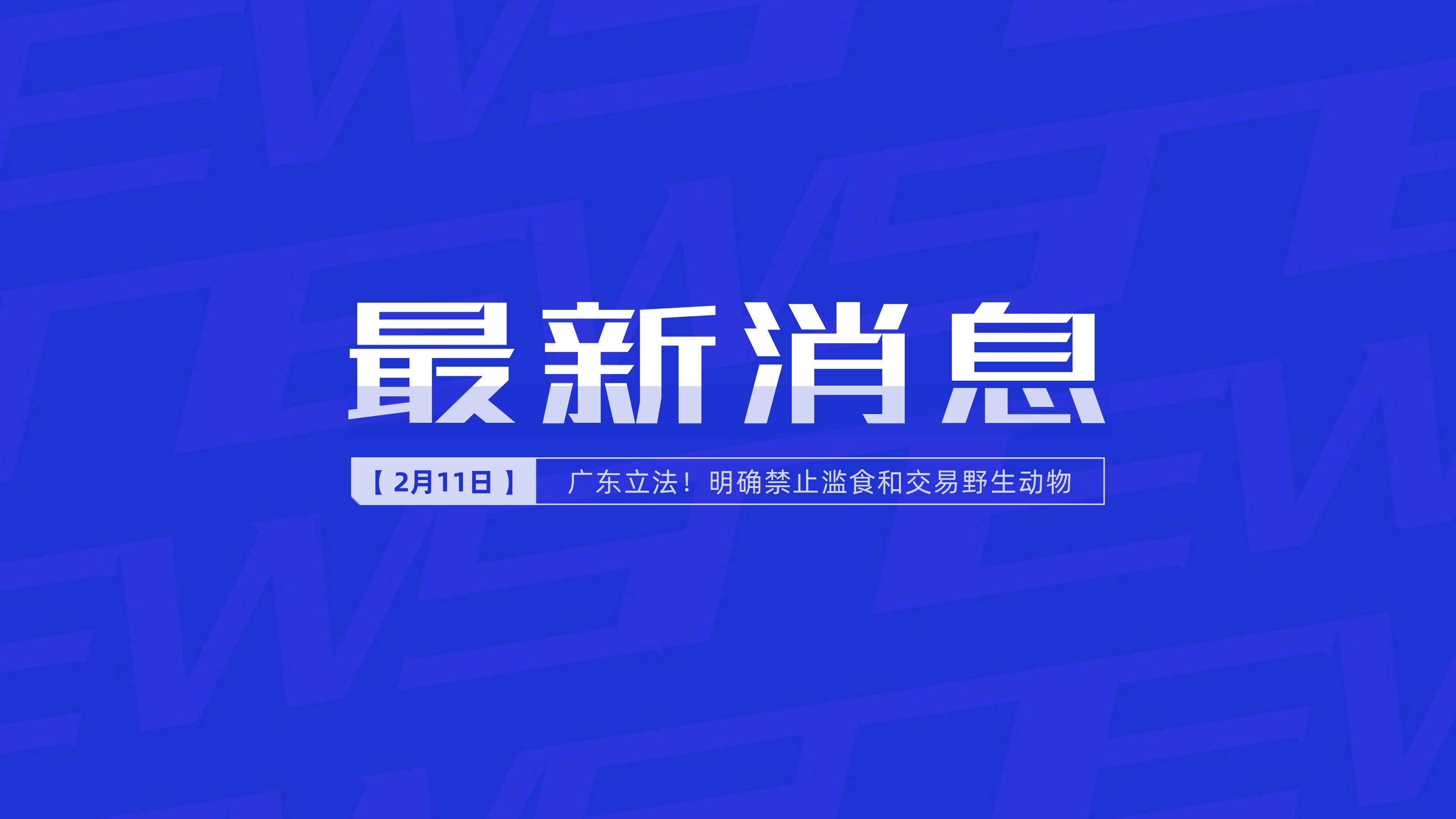 新聞最新新聞，掌握時(shí)事熱點(diǎn)，洞悉世界動(dòng)態(tài)，時(shí)事熱點(diǎn)速遞，掌握全球最新動(dòng)態(tài)新聞