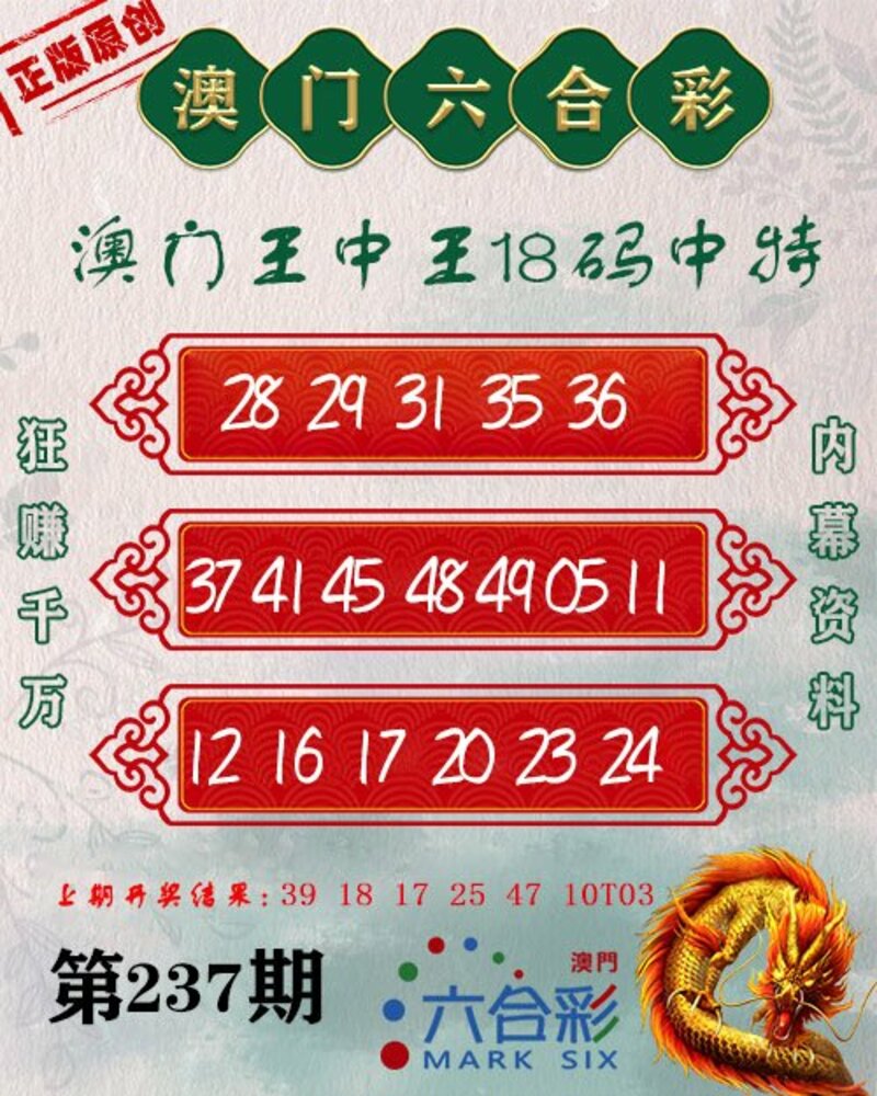 新澳門(mén)王中王期期中，探索與解析，新澳門(mén)王中王期期中，深度探索與解析