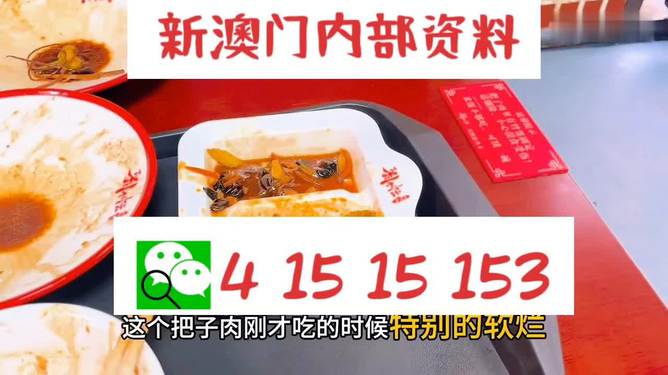 澳門王中王六碼新澳門，探索與解析，澳門王中王六碼新澳門，深度探索與解析