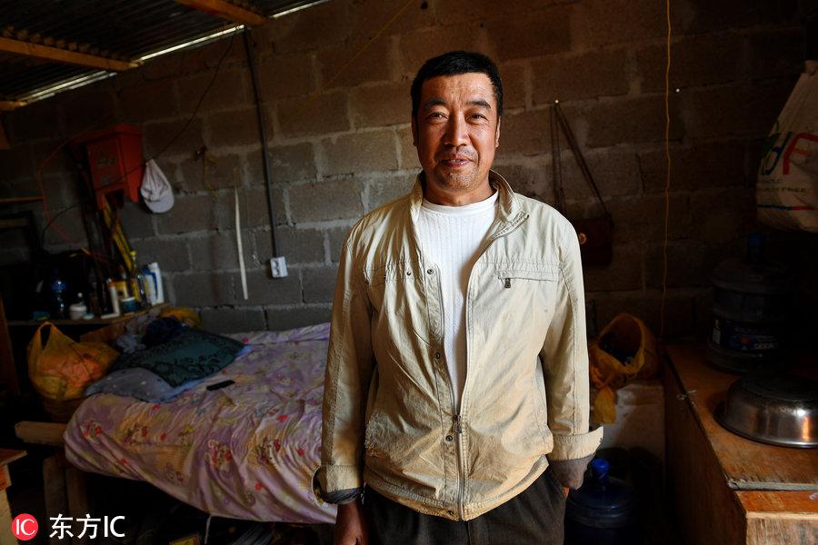 博科圣地組織，深度解析與理解，博科圣地組織深度解析與探究