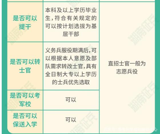 士官直招與義務(wù)兵的區(qū)別，深入了解軍隊招募制度，直招士官與義務(wù)兵招募制度深度解析，軍隊招募制度詳解
