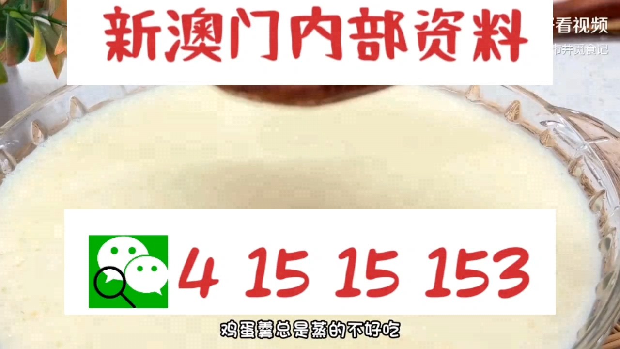 新澳門中特網(wǎng)中特馬，探索與解析，澳門中特馬探索與解析指南