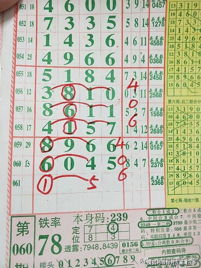 平特肖推算法，探索搜索引擎優(yōu)化的新境界，平特肖推算法，開啟搜索引擎優(yōu)化新境界的探索之旅