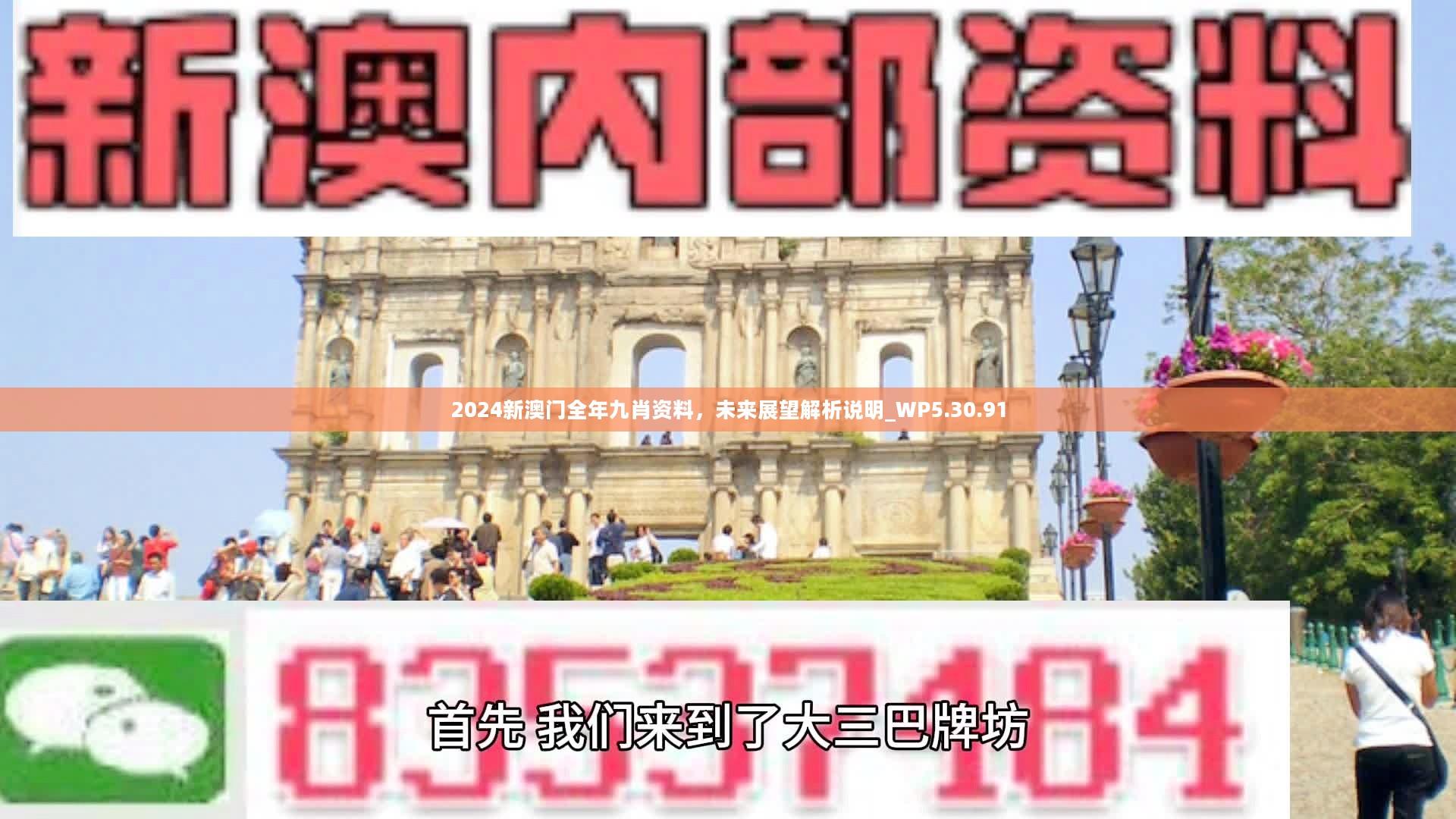 新澳門精準九肖，揭秘預測技巧與策略，揭秘新澳門精準九肖預測技巧與策略