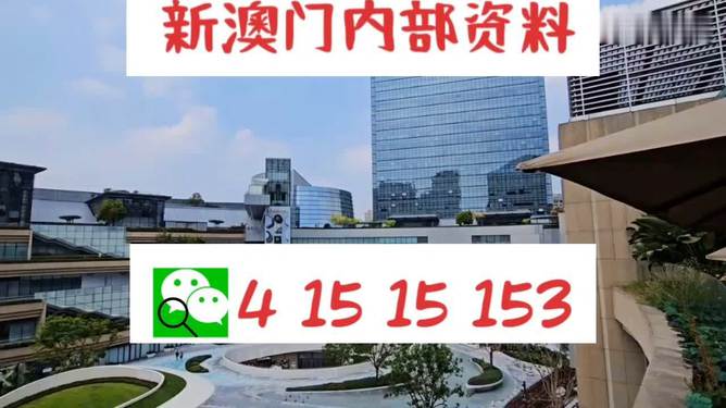 新澳門單雙，探索數(shù)字世界的奧秘與魅力，澳門數(shù)字世界的奧秘與魅力探索，單雙數(shù)的奇幻之旅
