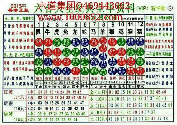 揭秘2024十二生肖49碼表——完整指南，揭秘十二生肖49碼表全攻略，2024年最新版指南