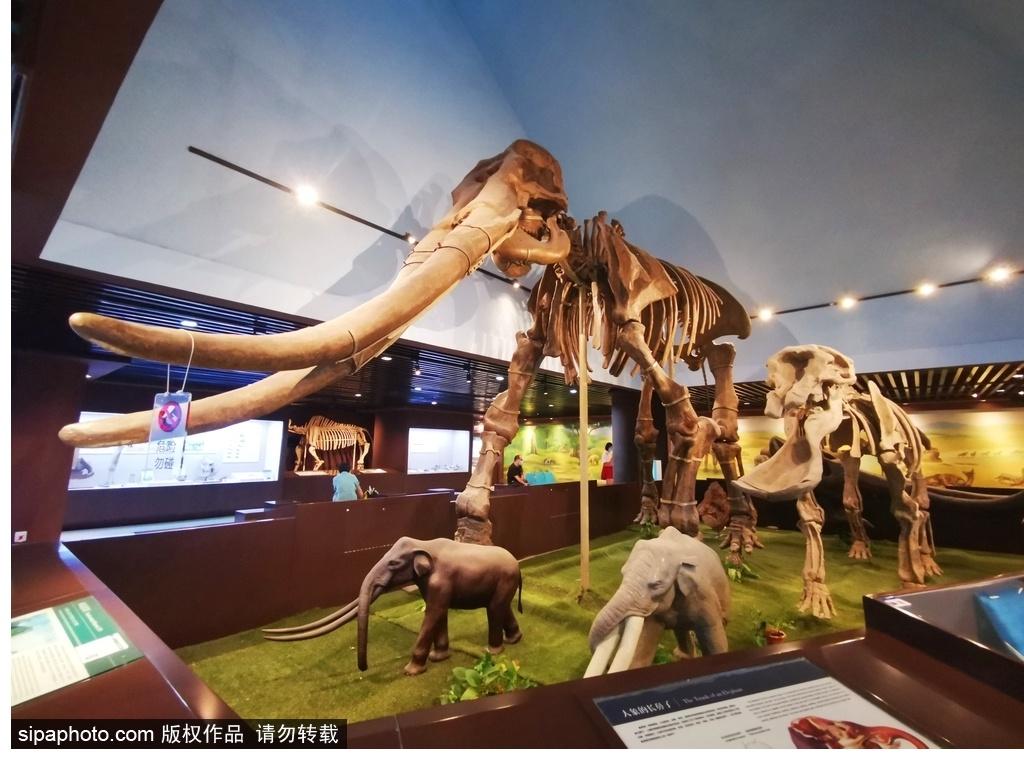 北京必去的十大博物館——探尋千年文化的精華之旅，北京必游十大博物館，千年文化精華之旅探尋記
