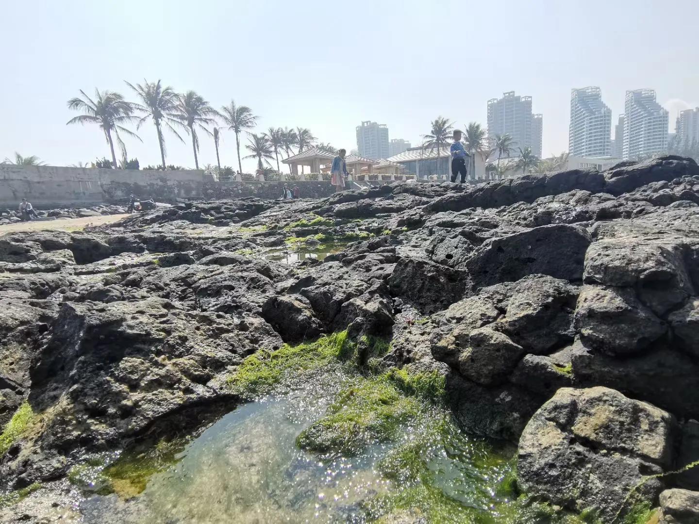 解放海南島電視劇全集下載，探尋30集完整劇情，解放海南島電視劇全集下載，探尋完整的30集劇情探索