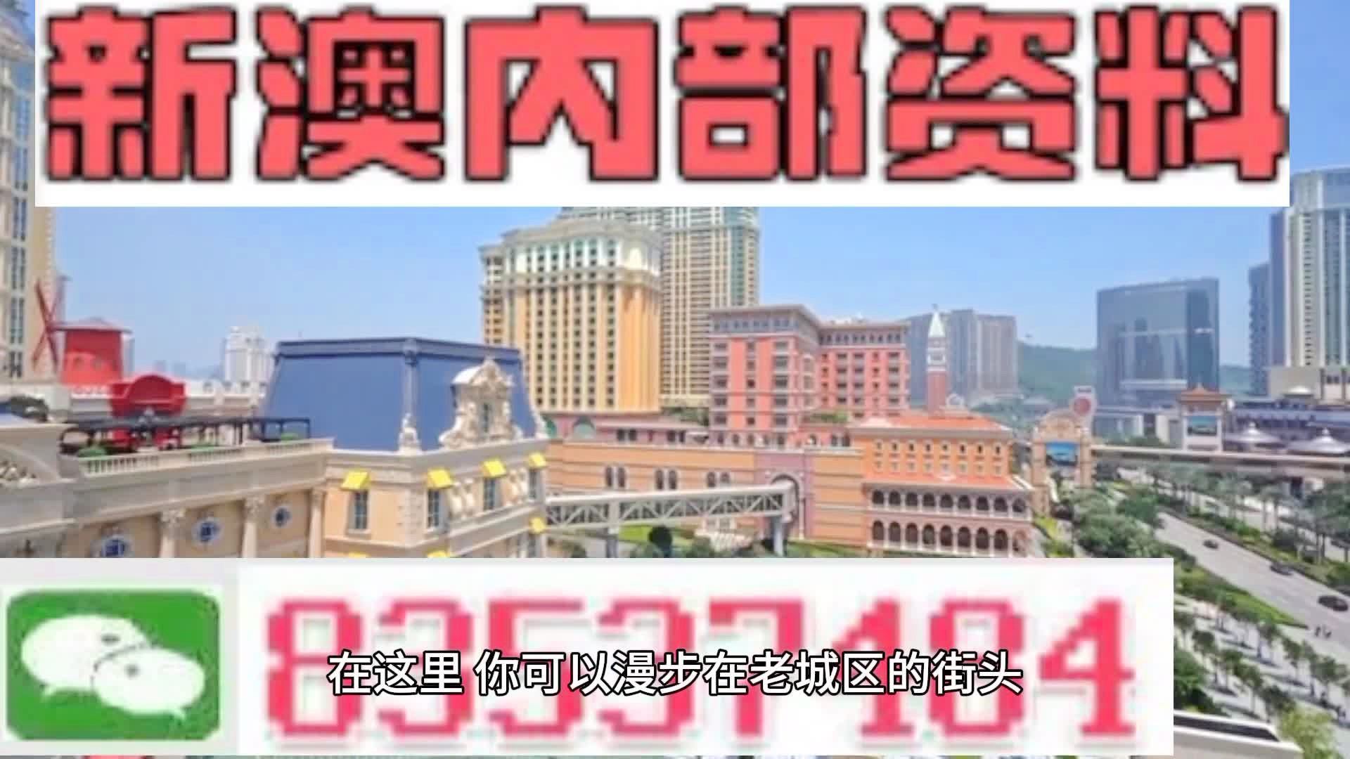 新澳門期期準(zhǔn)精準(zhǔn)，探索澳門的未來與SEO策略，澳門未來展望與SEO策略探索，精準(zhǔn)瞄準(zhǔn)新機(jī)遇
