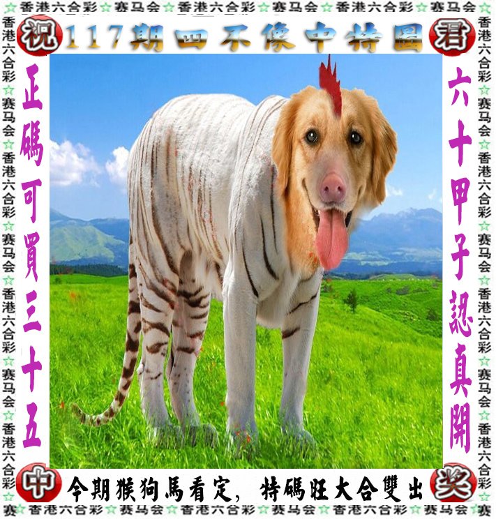新聞咨詢 第109頁(yè)