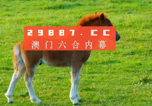 澳門答家婆一肖一馬一中一特，揭秘背后的秘密與獨(dú)特文化魅力，澳門文化魅力深度解析，答家婆一肖一馬一中一特的獨(dú)特傳統(tǒng)與秘密