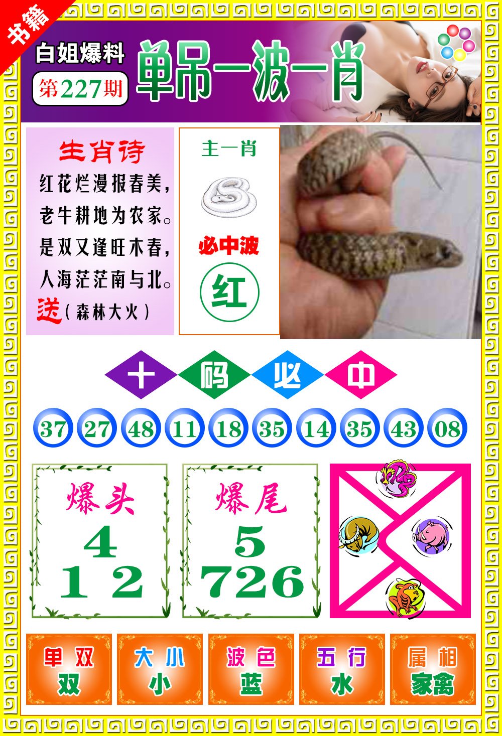 王中王100期期一肖，深度解析與SEO優(yōu)化策略，王中王100期期一肖深度解析與SEO策略全解析