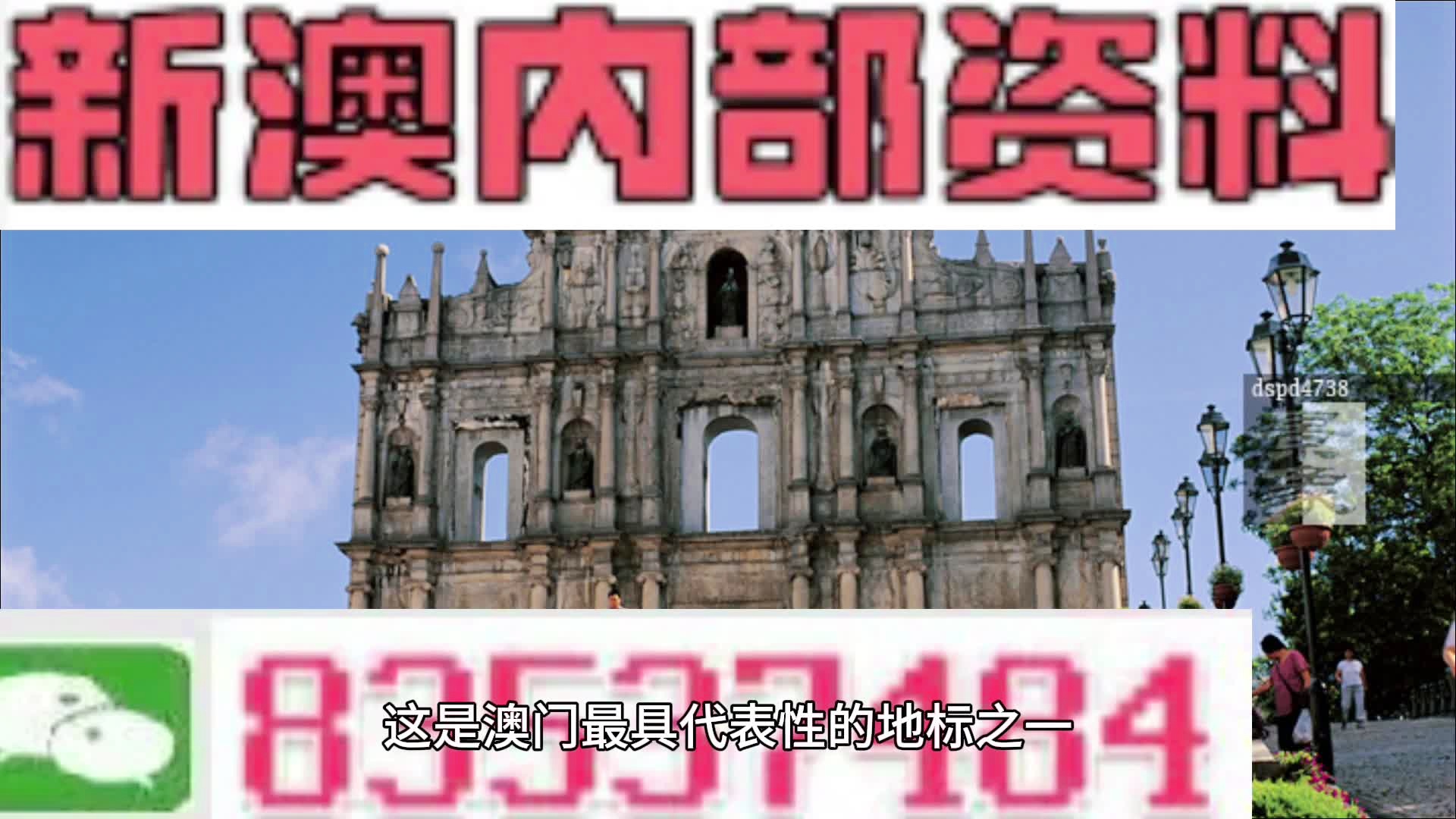 新澳門正版資料免費看——探索澳門文化的獨特魅力，澳門文化獨特魅力免費探索，新澳門正版資料全解析