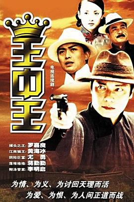 王中王中資料一肖中持，深度解析與SEO優(yōu)化探討，王中王中資料解析與SEO優(yōu)化策略探討