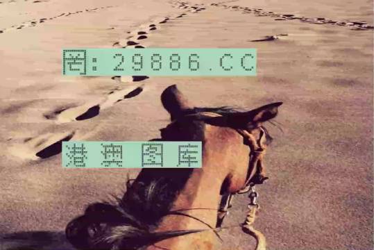 香港特馬資料王中王24期，深度解析與探索，香港特馬資料王中王深度解析與探索，第24期探索之旅