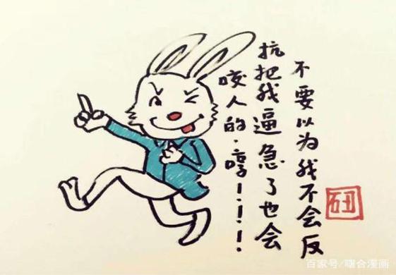一肖不中賠多少倍，深度解析與策略建議，一肖不中賠倍深度解析及策略建議