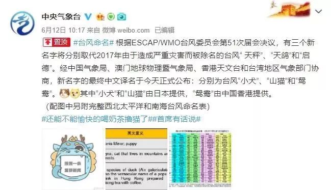 新澳門必中三肖三碼三期必開劉伯，揭秘彩票背后的秘密與策略，揭秘彩票背后的秘密與策略，劉伯的新澳門三期必開三肖三碼預測技巧