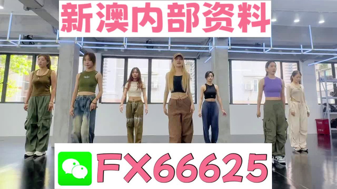 新澳一肖，探索與解析，新澳一肖，深度探索與解析